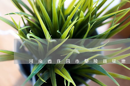 河南省许昌市鄢陵县征地补偿标准