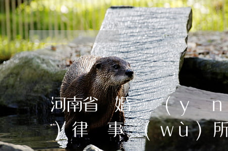 河南省離婚撫養(yǎng)權(quán)律師事務(wù)所(河南離婚律師咨詢免費(fèi))