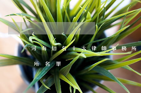河南知名十大律師事務所(河南省直律師事務所名單)