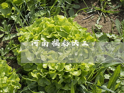 河南福彩快三