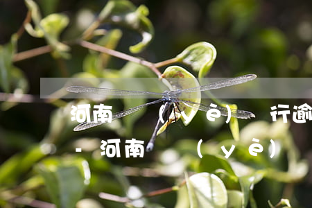 河南興業(yè)銀行逾期還不上會起訴嗎-河南興業(yè)銀行逾期還不上會起訴嗎知乎