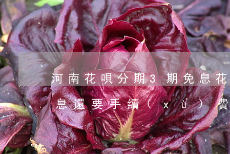 河南花唄分期3期免息(花唄分期付款3期免息還要手續(xù)費嗎)