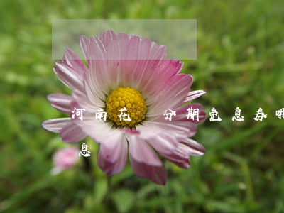 河南花唄分期免息券哪里找（花唄河南分期免息）