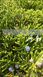 河南著名律師(河南著名律師)