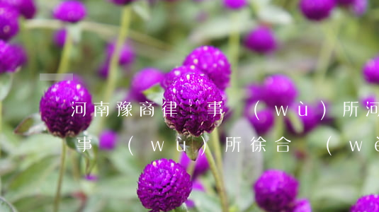 河南豫商律師事務(wù)所(河南豫商律師事務(wù)所徐合衛(wèi))