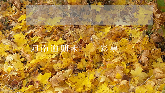河南逾期未兌獎彩票