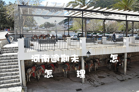 河南逾期未檢車輛怎樣處理(河南逾期未檢車輛怎樣處理)
