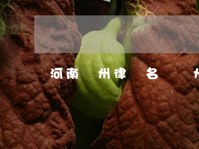 河南鄭州律師名單(鄭州刑事案件有名律師)