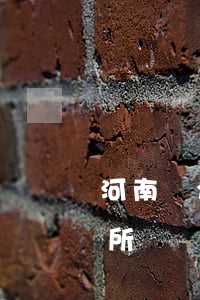 河南鄭州最大的律師所(河南鄭州最大的律師所)