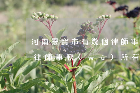 河南靈寶市有幾個律師事務(wù)所(靈川律師事務(wù)所有幾家)