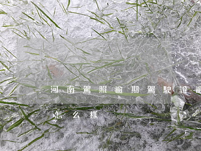 河南駕照逾期 駕駛證逾期更換會(huì)怎么樣