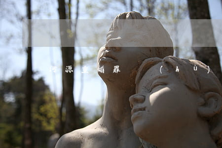 河源重婚罪辯護(hù)律師(河源市律師)