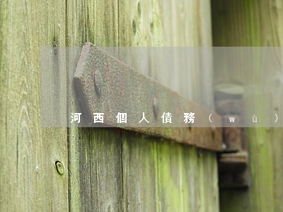 河西個人債務(wù)糾紛律師