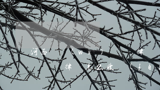 河西債務(wù)糾紛請律師(債務(wù)糾紛請律師怎么收費(fèi))