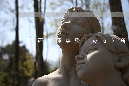 河西律師事務(wù)所(河西律師免費咨詢)