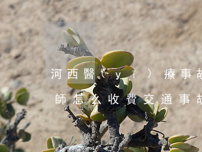 河西醫(yī)療事故調(diào)解律師怎么收費(交通事故律師調(diào)解怎么收費)
