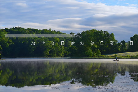 油卡白條逾期 白條可以買油卡嗎