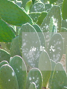 油款欠條怎么寫(欠條落款怎么寫)