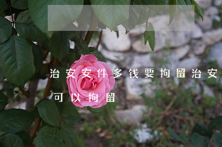 治安安件多钱要拘留(治安管理处罚法多少钱可以拘留)