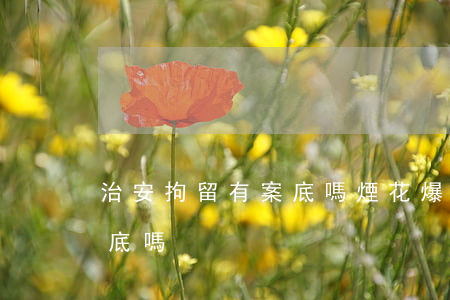 治安拘留有案底嗎(煙花爆竹被治安拘留有案底嗎)