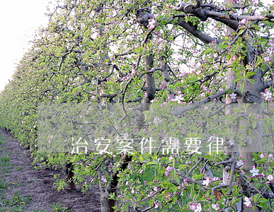 治安案件需要律師嗎(治安案件可以聘請律師嗎)