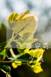 治安罚款拘留多久罚款多钱(行政拘留罚款多少钱)