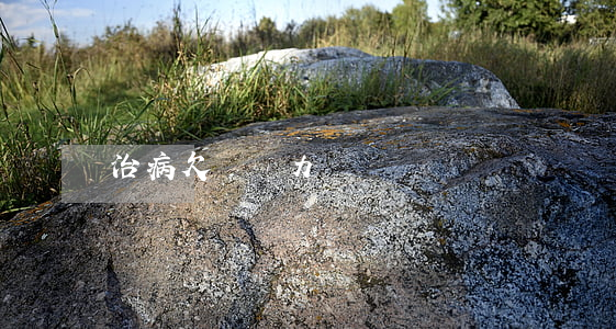 治病欠債無力償還