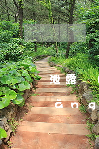 泄露個(gè)人信息的情況有哪些（網(wǎng)上互動(dòng)透露朋友信息）