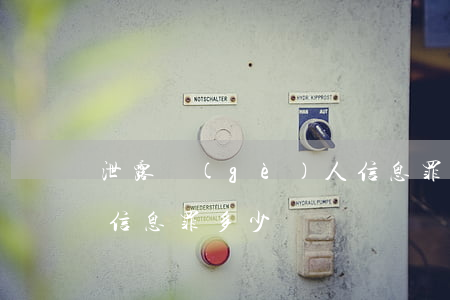 泄露個(gè)人信息罪(泄露個(gè)人信息罪多少條)