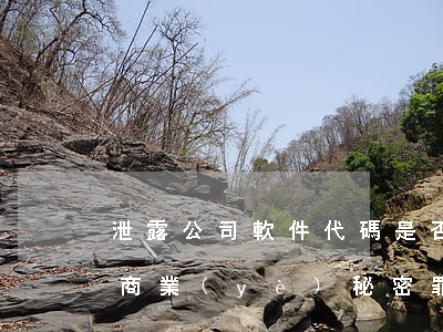 泄露公司軟件代碼是否構(gòu)成侵犯商業(yè)秘密罪
