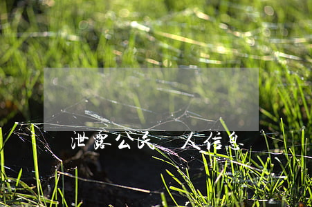 泄露公民個人信息