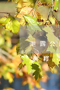 泄露公民個人信息(泄露公民個人信息罪司法解釋)