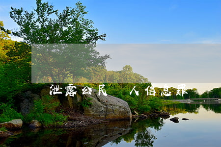 泄露公民個人信息罪