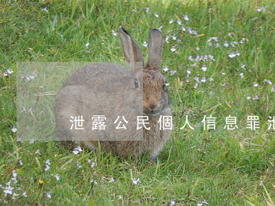 泄露公民個人信息罪(泄露公民個人信息罪)