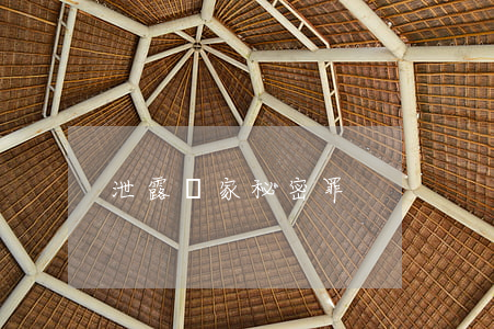 泄露國家秘密罪