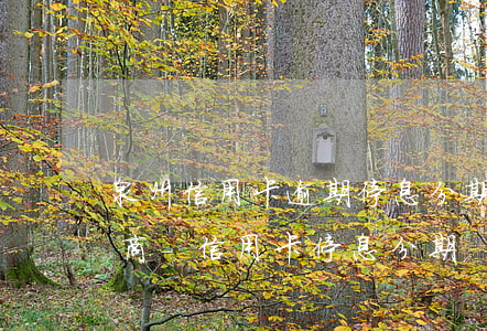 泉州信用卡逾期停息分期怎么協(xié)商-信用卡 停息分期