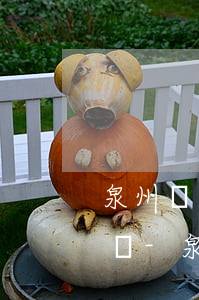 泉州債權(quán)債務(wù)糾紛律師-泉州追債