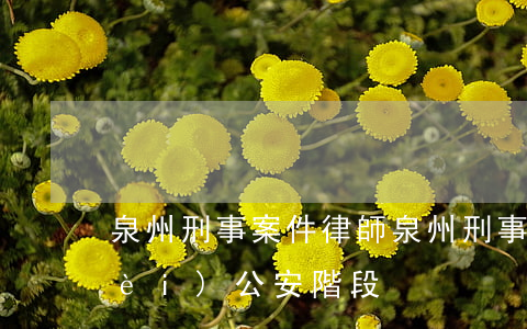 泉州刑事案件律師(泉州刑事案件律師費(fèi)公安階段)