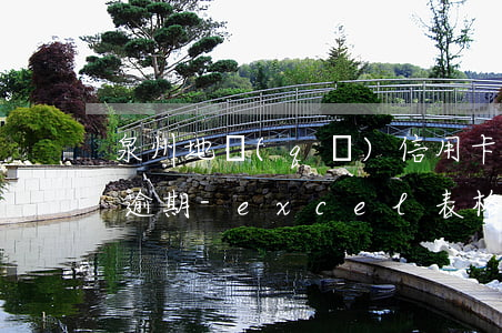 泉州地區(qū)信用卡網(wǎng)貸逾期-excel表格格式錯誤如何還原