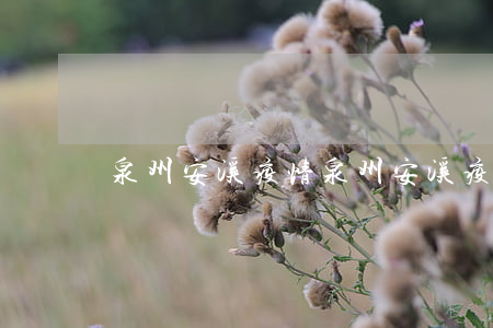 泉州安溪疫情(泉州安溪疫情解封了嗎)