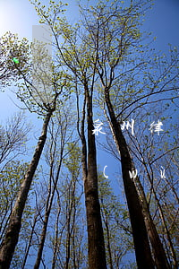 泉州律師事務(wù)所地址(泉南律師事務(wù)所)