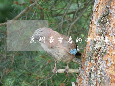泉州最有名的律师事务所是哪个