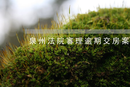 泉州法院審理逾期交房案例