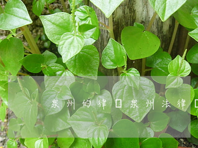泉州的律師(泉州法律顧問律師)