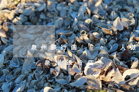 泉州銀行個(gè)人微貸逾期一天怎么辦-泉州銀行個(gè)人微貸逾期一天怎么辦理