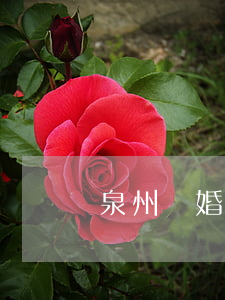 泉州離婚糾分律師(福州離婚律師)