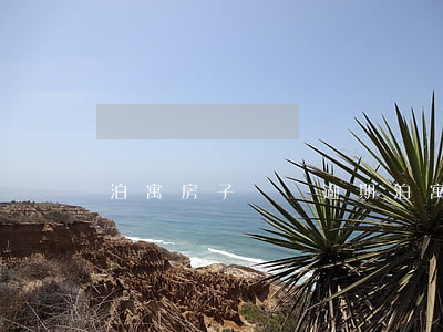 泊寓房子賬單逾期 泊寓房子賬單逾期