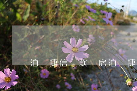 泊頭捷信貸款買房(泊頭捷信貸款買房)