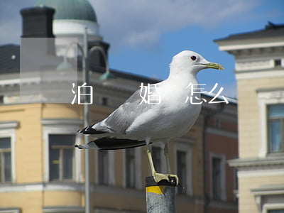 泊頭離婚證怎么辦