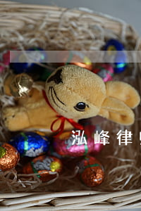 泓峰律师事务所(首晖律师事务所)